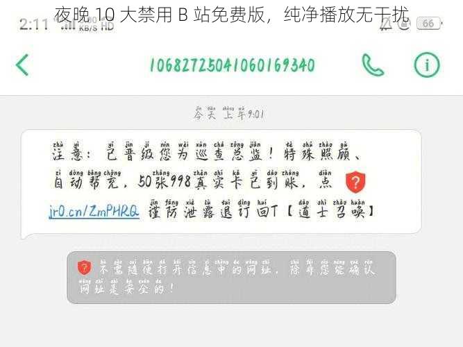 夜晚 10 大禁用 B 站免费版,纯净播放无干扰