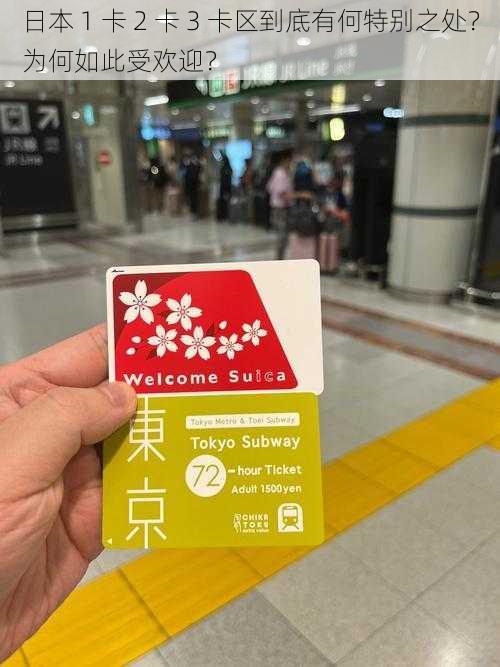 日本 1 卡 2 卡 3 卡区到底有何特别之处?为何如此受欢迎?