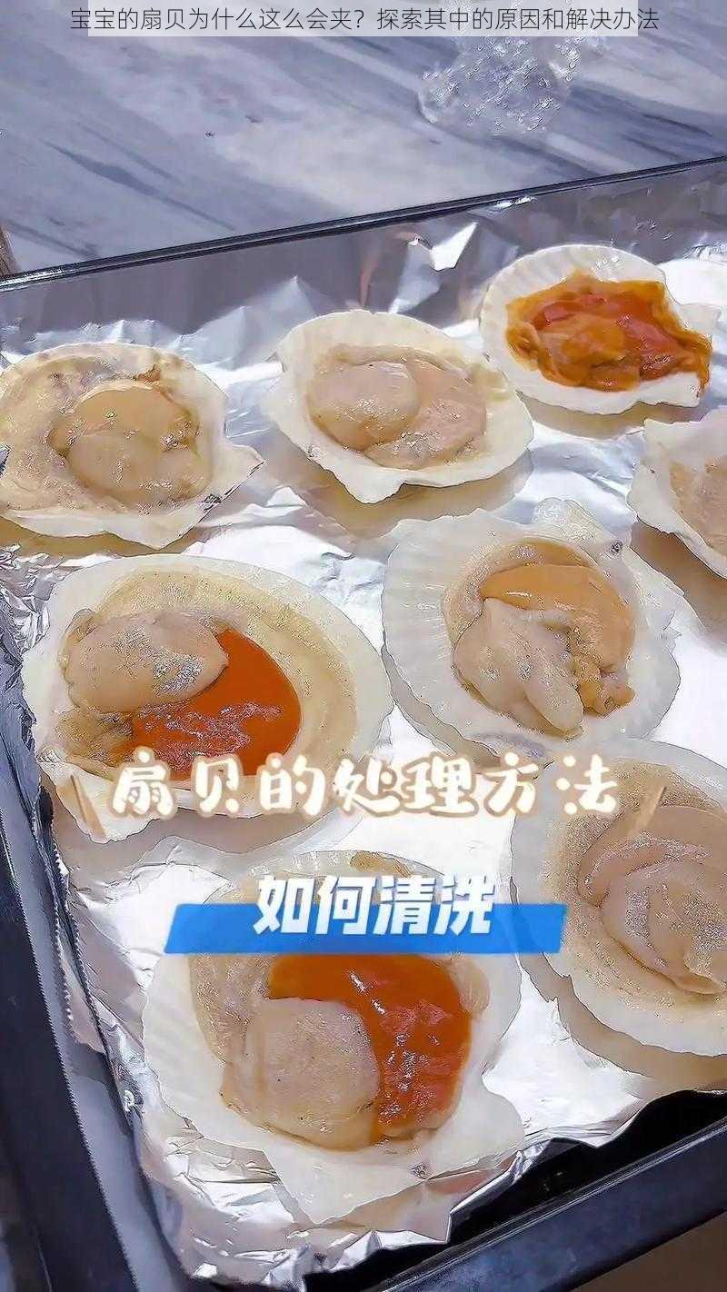 宝宝的扇贝为什么这么会夹?探索其中的原因和解决办法