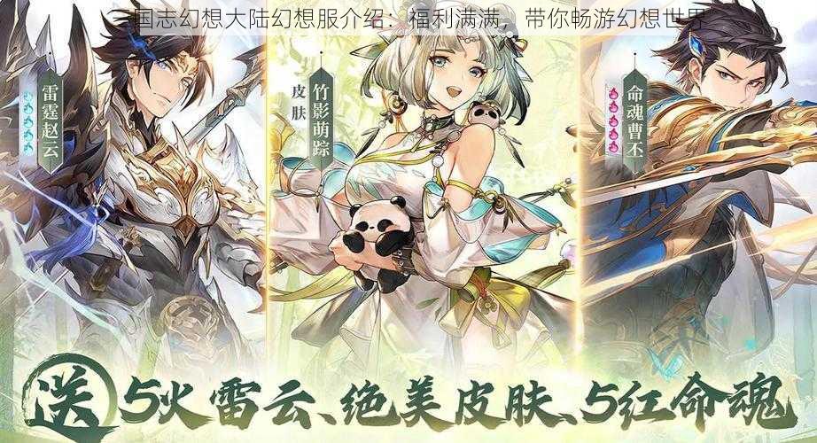 三国志幻想大陆幻想服介绍:福利满满,带你畅游幻想世界