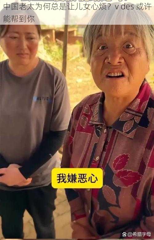 中国老太为何总是让儿女心烦?v des 或许能帮到你